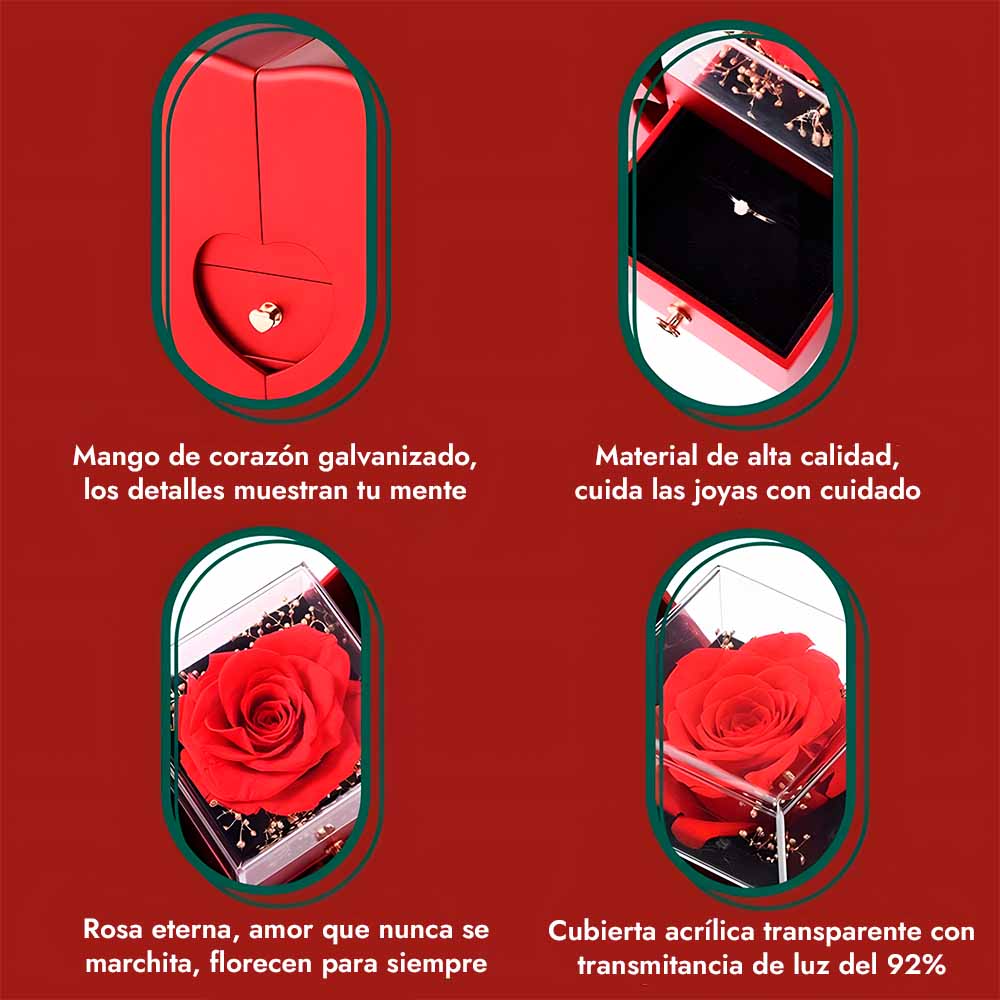 Rose™ Box Rosa Preservada