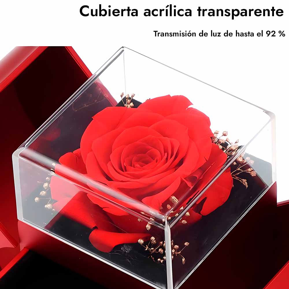 Rose™ Box Rosa Preservada