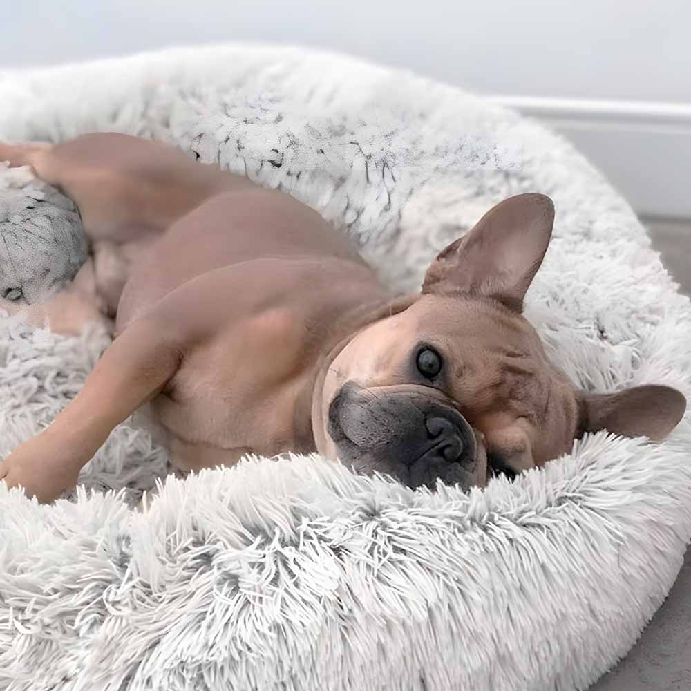 DogNest™ Cama de Mascota