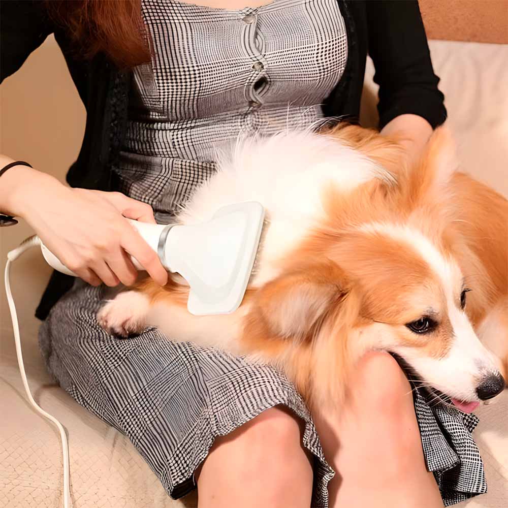 SuperPet™ Secador 2 en 1