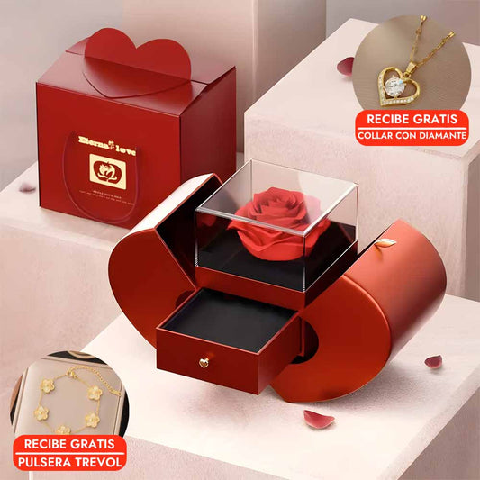 Rose™ Box Rosa Preservada